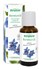 Bild von Borretsch-Öl, bio, 30 ml, Bergland