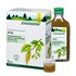 Bild von Birke WS, 600 ml, Schoenenberger
