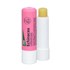 Bild von Echinacea Lippenpflege Stift, 1 St, Salus