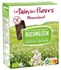 Bild von Blumenbrot Buchweizen, 2x75 g, Blumenbrot